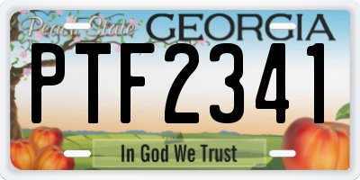 GA license plate PTF2341