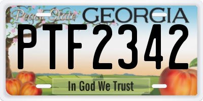 GA license plate PTF2342
