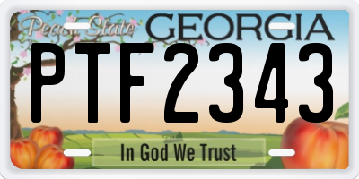 GA license plate PTF2343