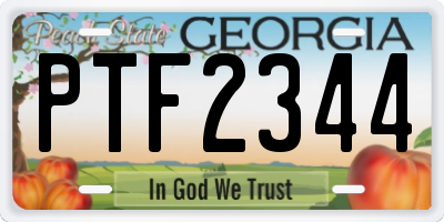 GA license plate PTF2344