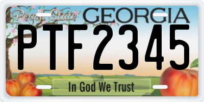 GA license plate PTF2345