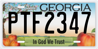 GA license plate PTF2347