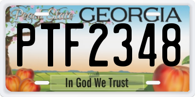 GA license plate PTF2348
