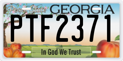 GA license plate PTF2371