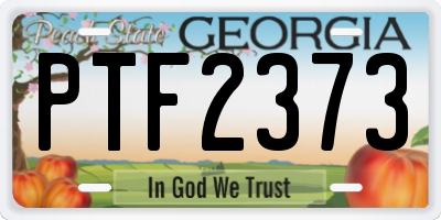 GA license plate PTF2373