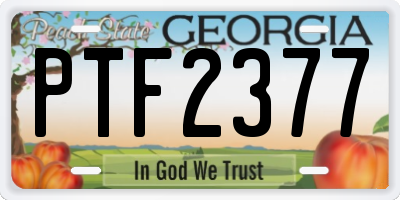 GA license plate PTF2377