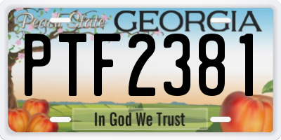 GA license plate PTF2381