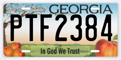 GA license plate PTF2384