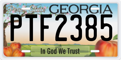 GA license plate PTF2385