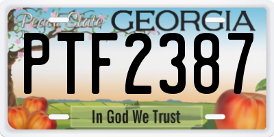 GA license plate PTF2387