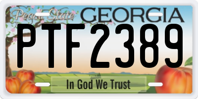 GA license plate PTF2389