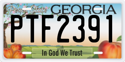 GA license plate PTF2391
