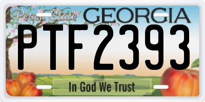 GA license plate PTF2393