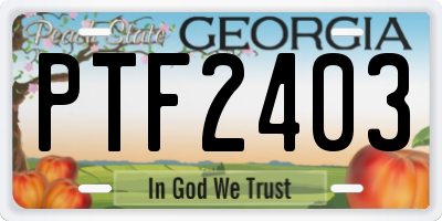 GA license plate PTF2403