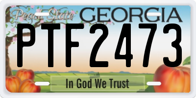 GA license plate PTF2473