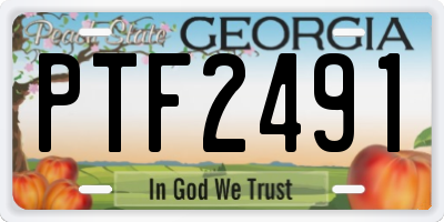 GA license plate PTF2491