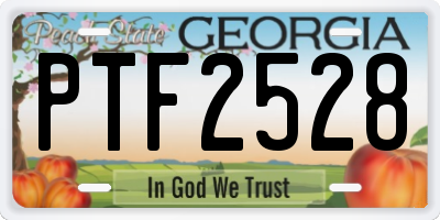 GA license plate PTF2528