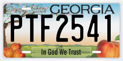 GA license plate PTF2541