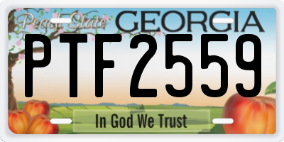 GA license plate PTF2559