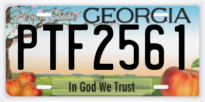 GA license plate PTF2561