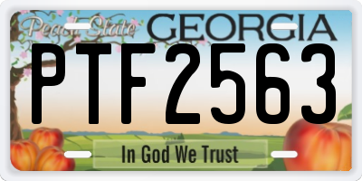 GA license plate PTF2563