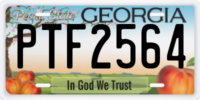GA license plate PTF2564