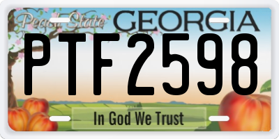 GA license plate PTF2598