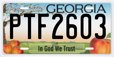 GA license plate PTF2603