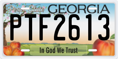 GA license plate PTF2613
