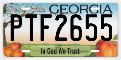 GA license plate PTF2655
