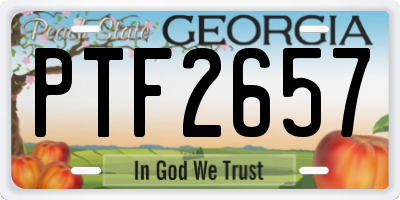 GA license plate PTF2657