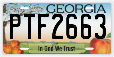 GA license plate PTF2663