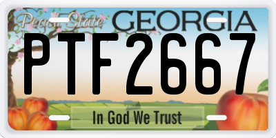 GA license plate PTF2667