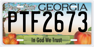 GA license plate PTF2673