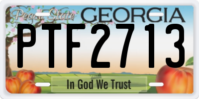 GA license plate PTF2713