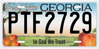 GA license plate PTF2729