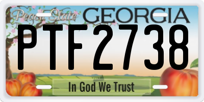 GA license plate PTF2738