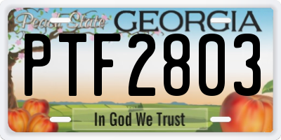 GA license plate PTF2803