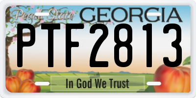 GA license plate PTF2813