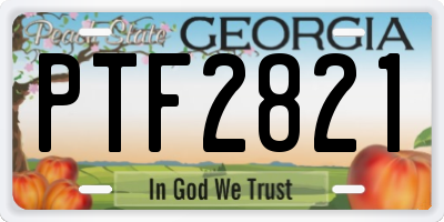 GA license plate PTF2821