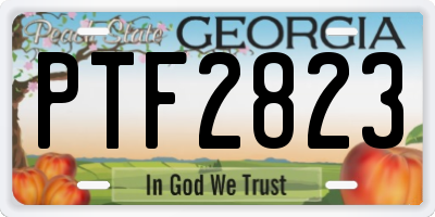GA license plate PTF2823