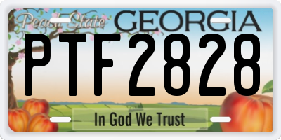 GA license plate PTF2828