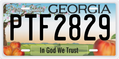 GA license plate PTF2829
