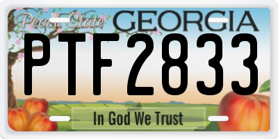GA license plate PTF2833