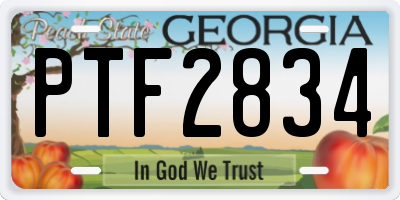 GA license plate PTF2834