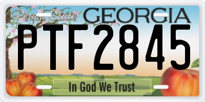 GA license plate PTF2845