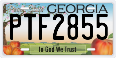 GA license plate PTF2855