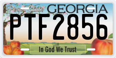 GA license plate PTF2856