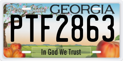 GA license plate PTF2863