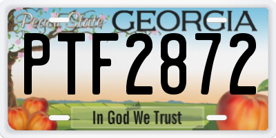 GA license plate PTF2872